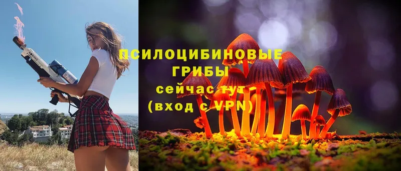 Галлюциногенные грибы Magic Shrooms  Белозерск 